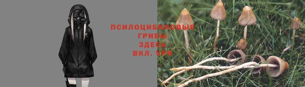 гидропоника Балахна