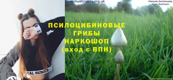 гидропоника Балахна