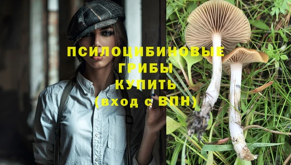 гашик Покачи